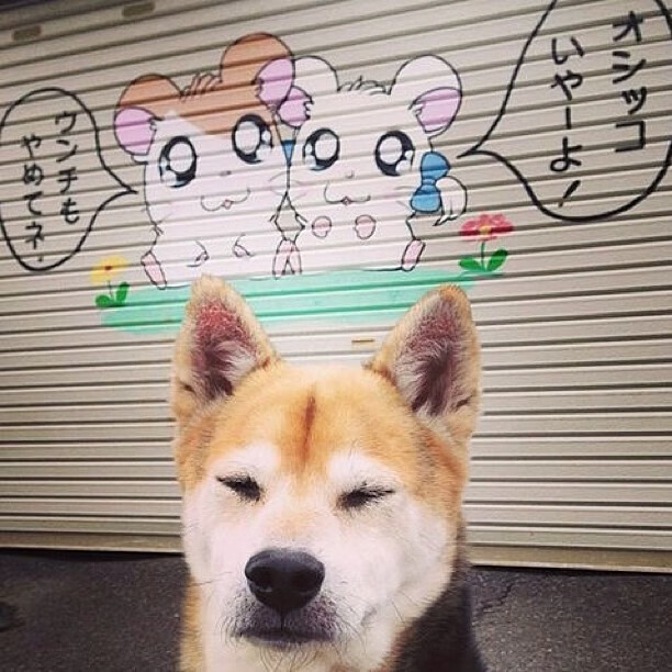 火箭vs黄蜂，小贾伦化身防守指挥家，赛后评分拉满诠释何为现代内线