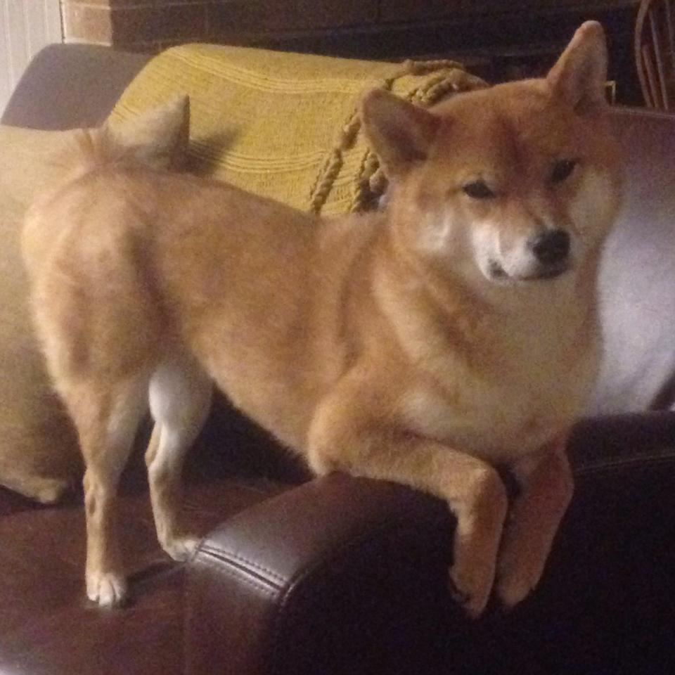 多年后我们谈论完美，依然会回到2026年那个夜晚