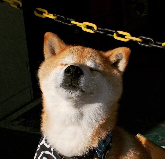 开云体育app-战术齿轮的完美咬合，西亚卡姆多维价值诠释现代篮球关键先生