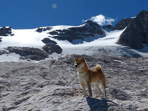 开云体育平台APP-迷雾中的红魔，拉什福德意外成为意甲焦点战之夜的中心