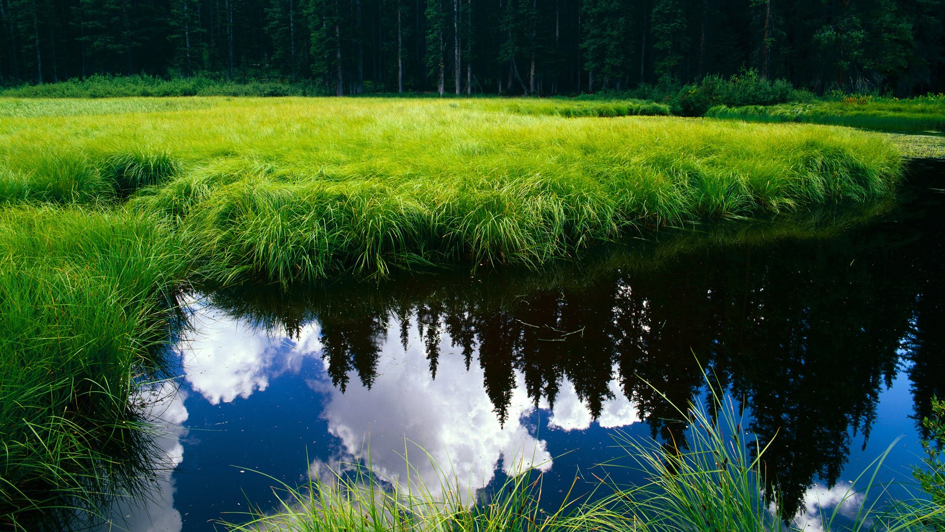 当绿茵场遇见篮球馆，字母哥的欧冠决赛式统治力