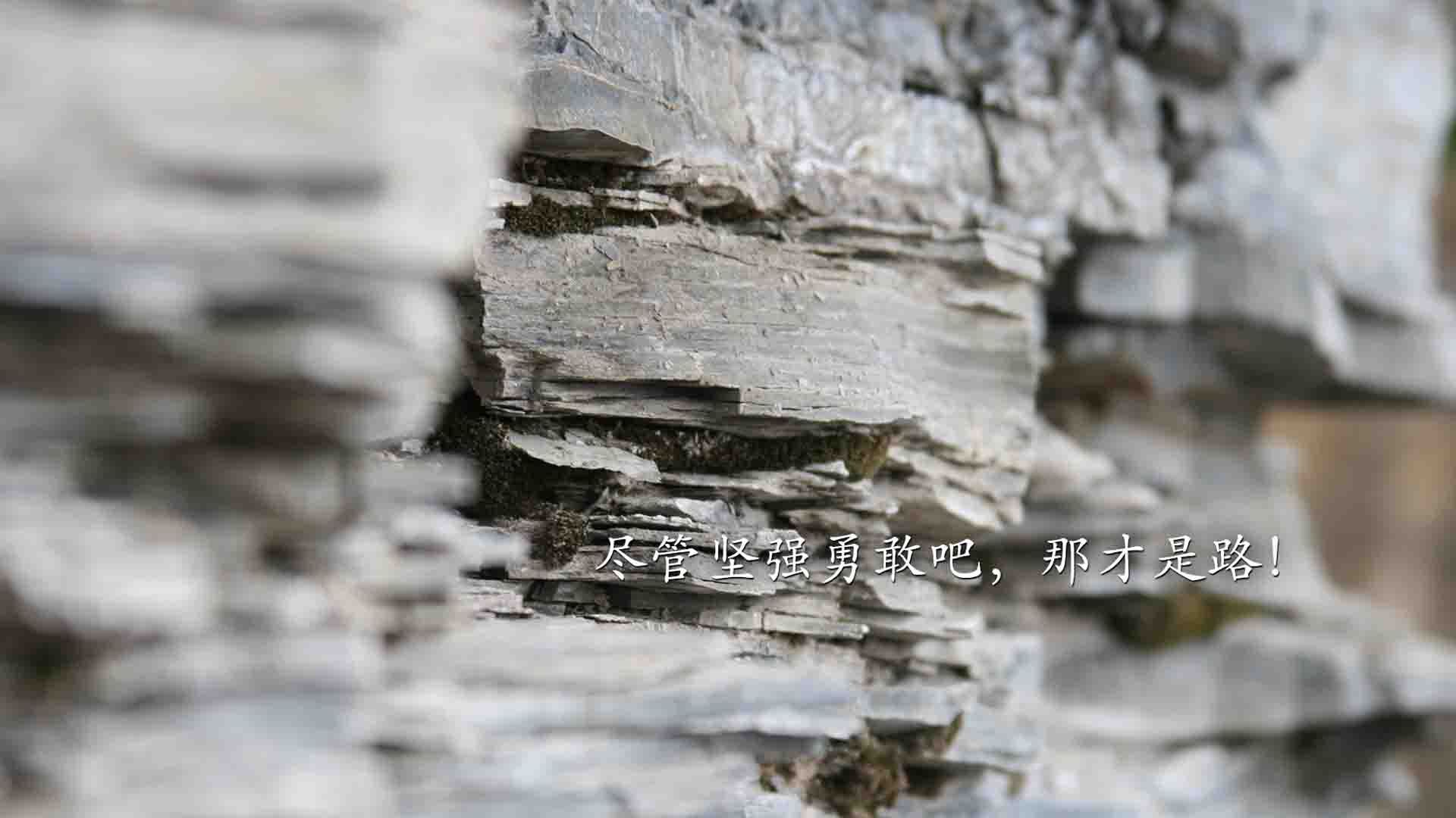 绿茵场的矛盾之争,当奥斯梅恩的烽火点燃阿兹特克荣耀