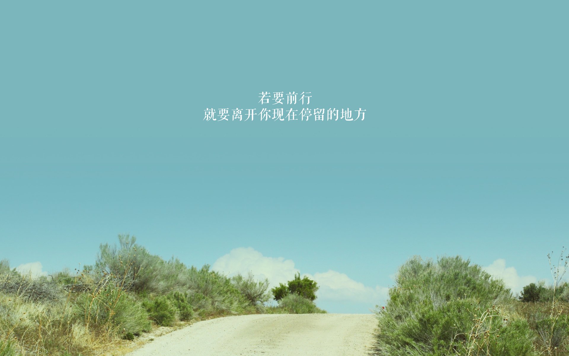 波斯铁骑踏碎加勒比海蓝，齐耶赫的手术刀与伊朗足球的战术革命—2026世界杯A组焦点战深度复盘