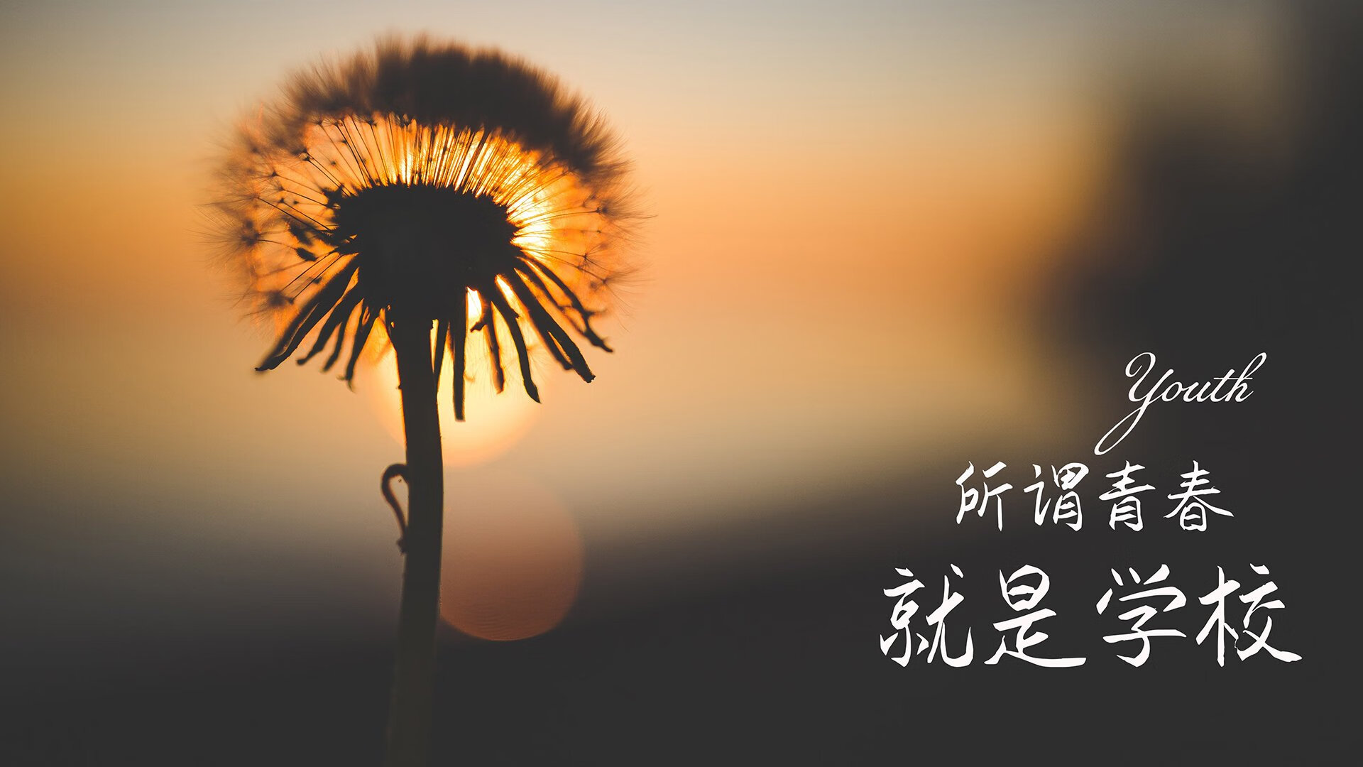 他一个人,站在两个世界的接缝处—2026世界杯B组,京多安与那场唯一性的对决