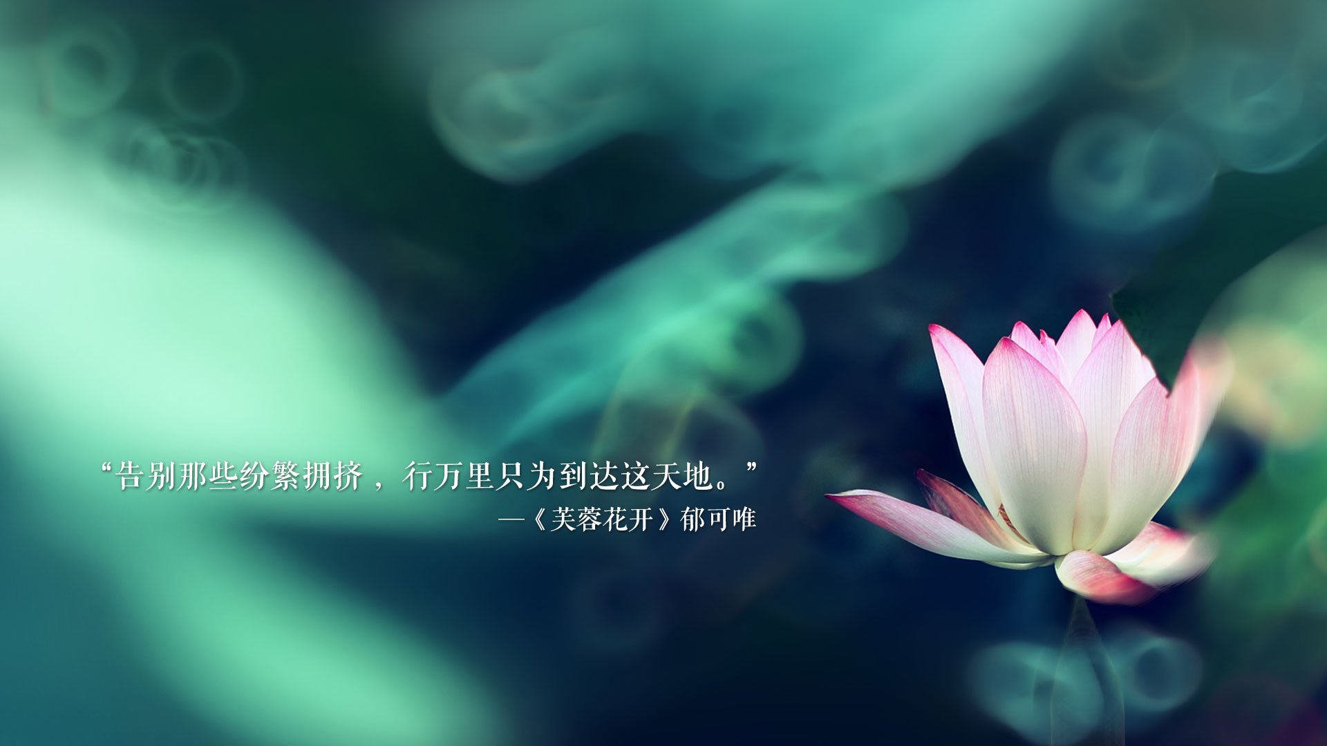首先，是文章的标题